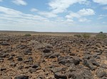 Lokalita Marsabit severne 39km GPS175 Kenya 2012 Kazungu P1030664.jpg
